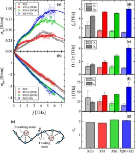 Fundamental Picture of the Conduction Mechanism in Solid-State Polymer Electrolytes Revealed by Terahertz Spectroscopy